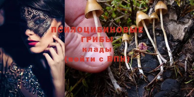 Галлюциногенные грибы Magic Shrooms  Анадырь 